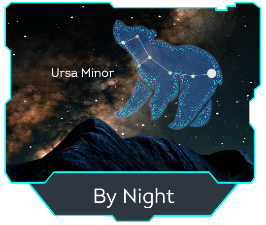 By Night By Night